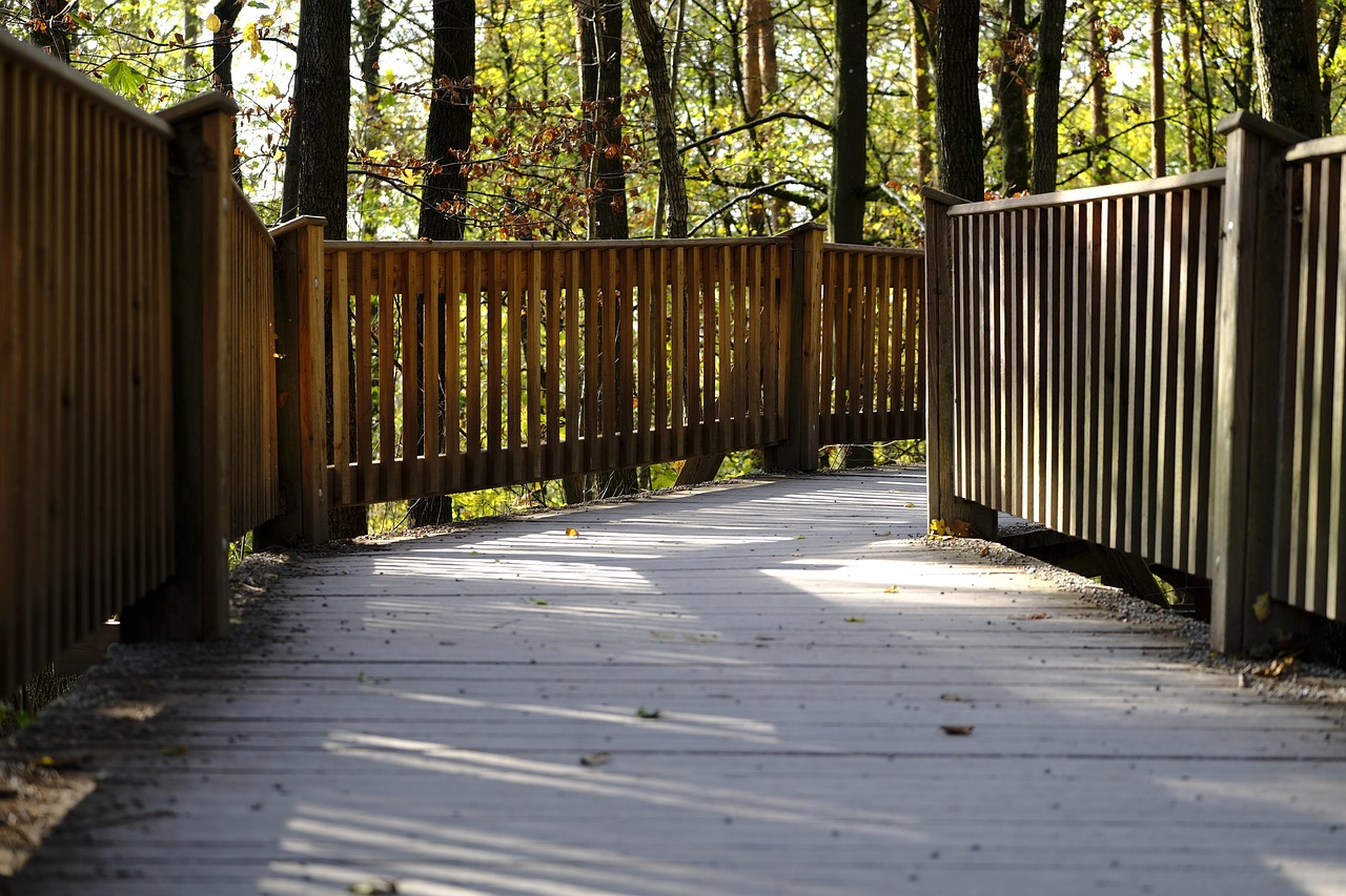 长亭科技实名账号：握爪app详情下载教程