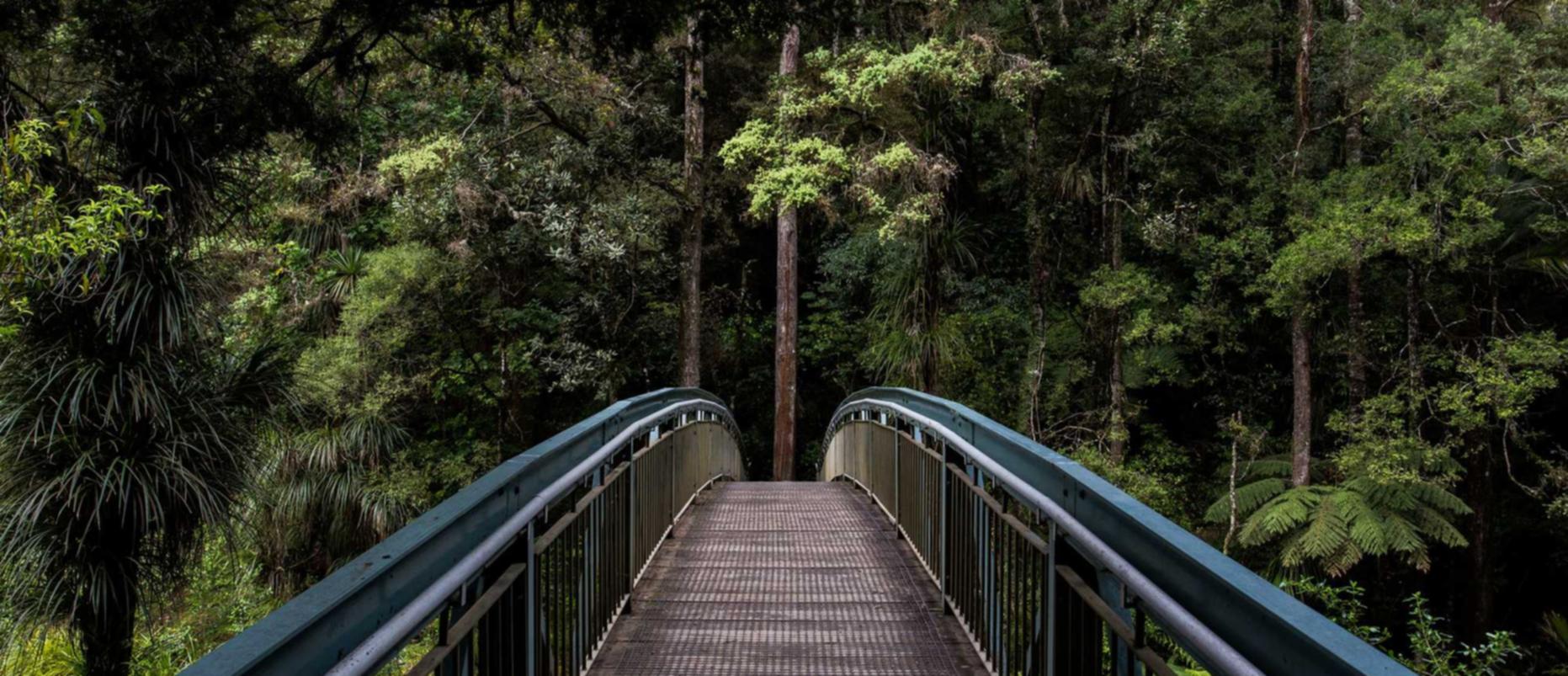 DDOS攻击测试|注册香港公司代理具体价格