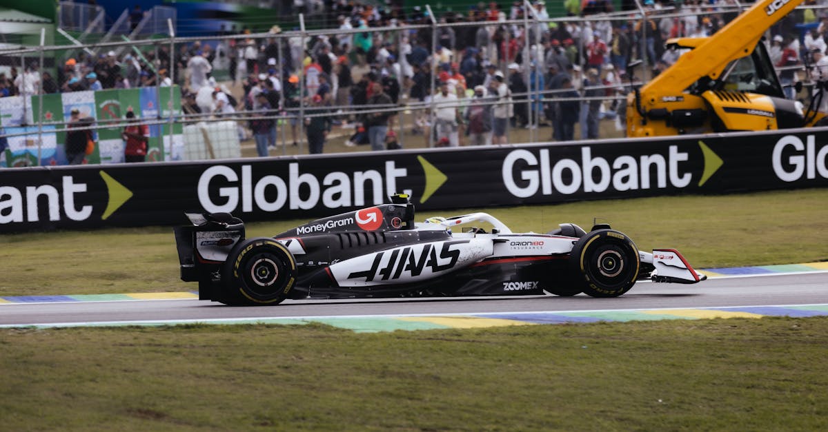 短信轰炸源码实名账号:nz手机app详情下载教程