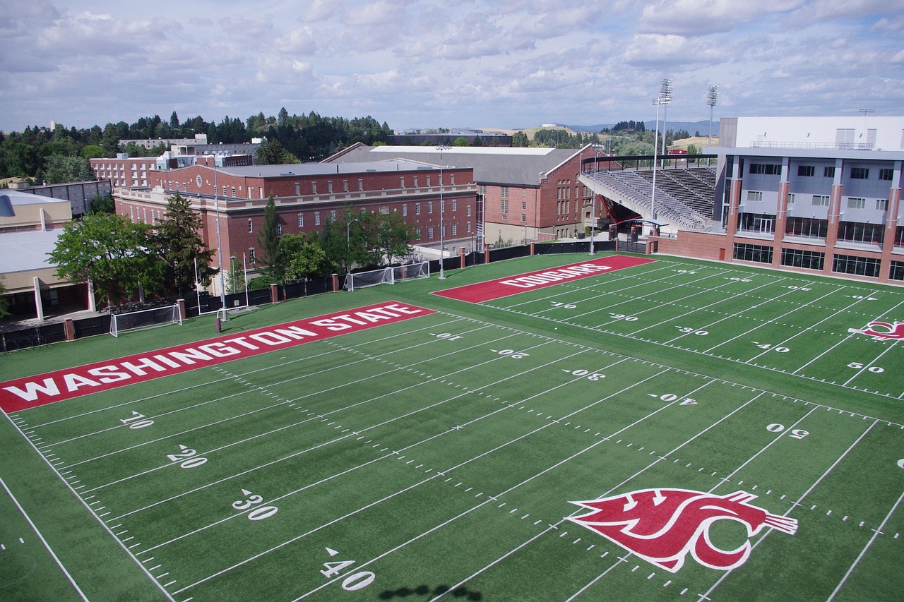 如何使用转换率优化SEO 