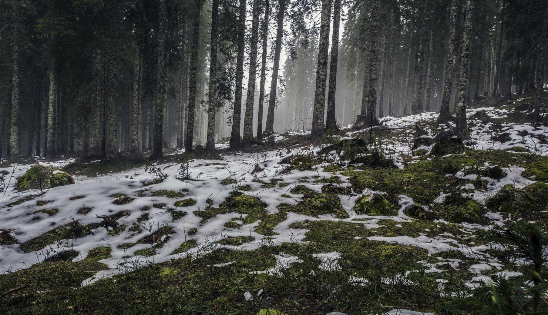 实名支付宝买卖：现货平台如何开户