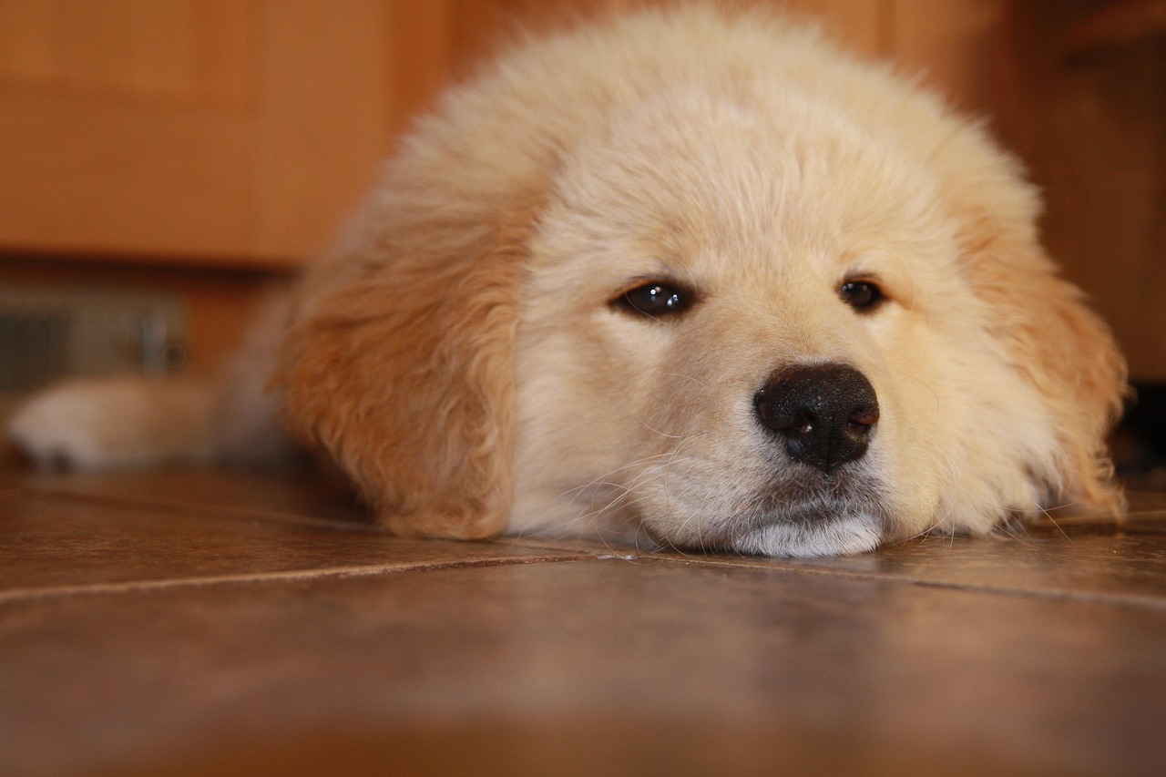 微信老号买卖:杭州机床购买平台