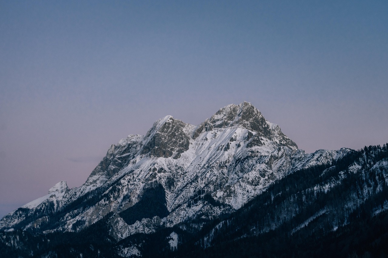羽林平台平台购买主站