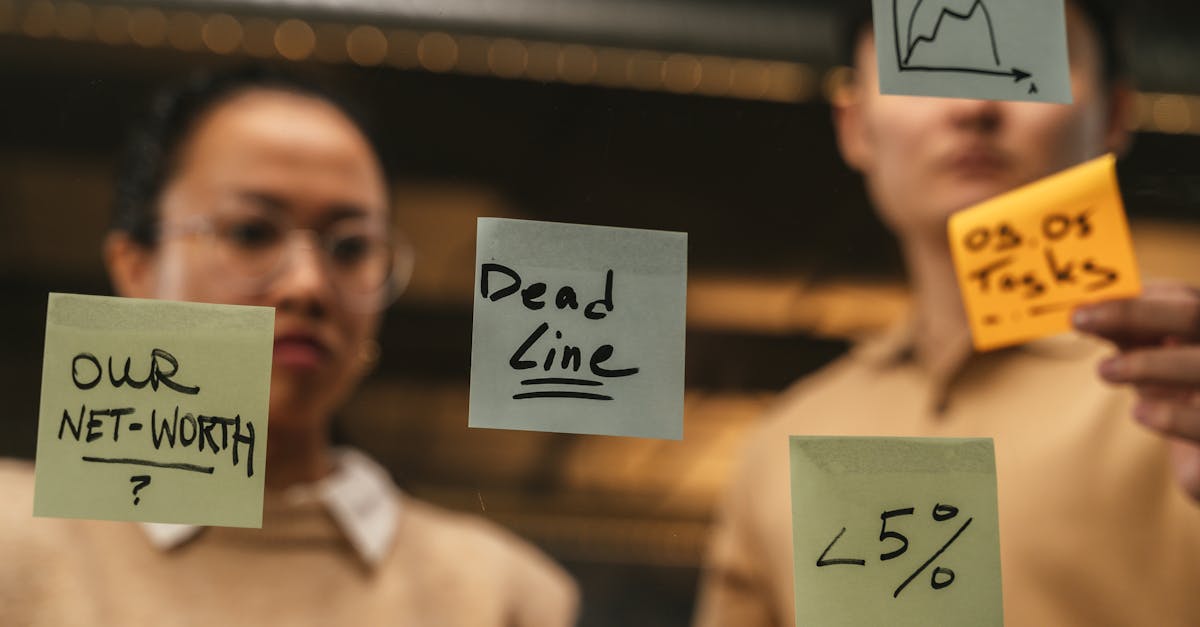 新城bwf app详情下载教程