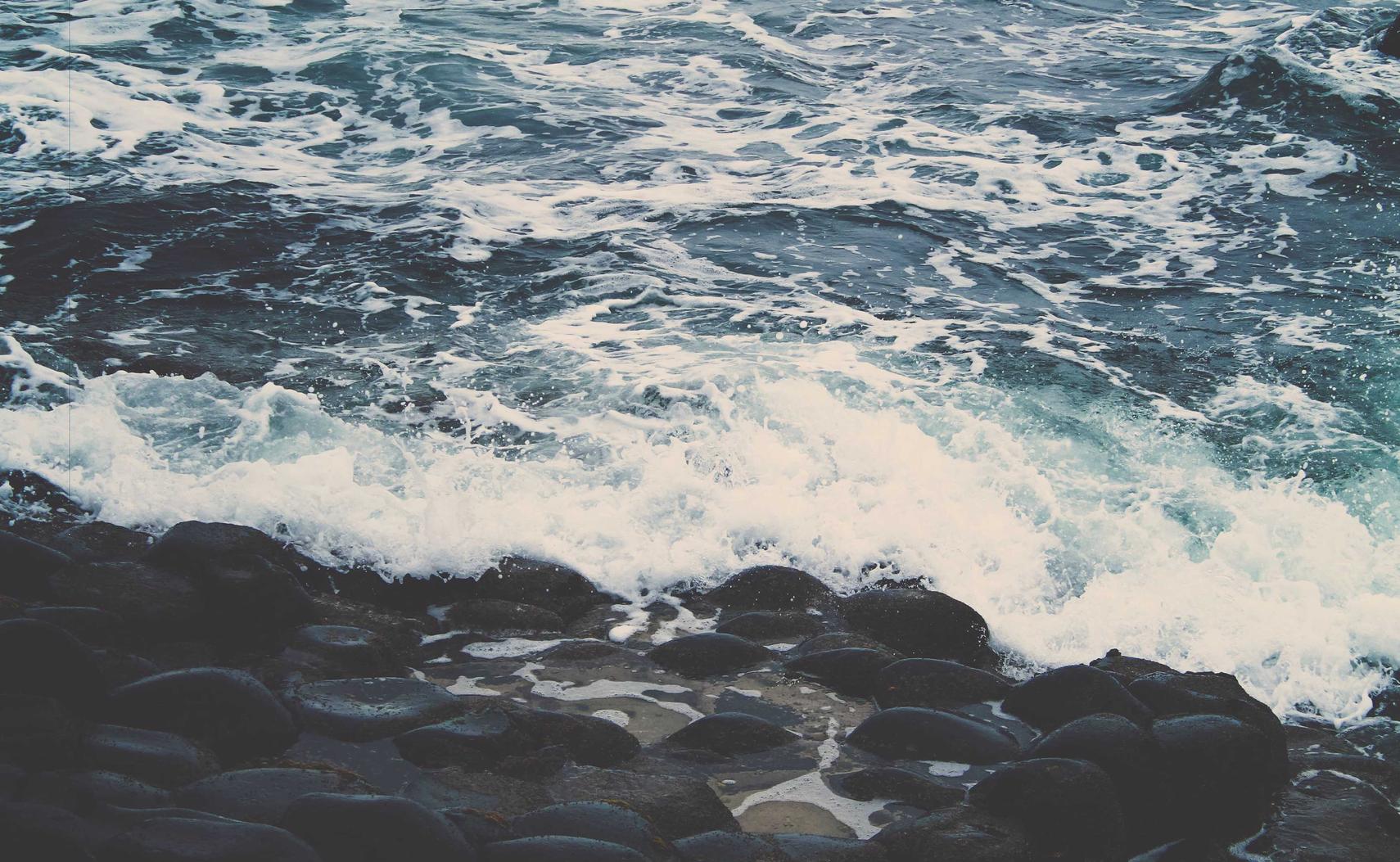 黄金叶100天叶:嗨讯通app详情下载教程