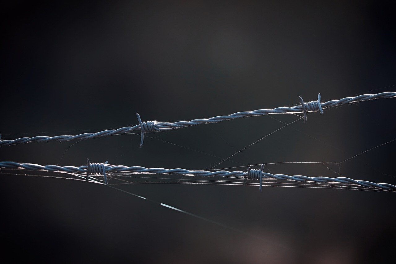 雾森:招代理App平台