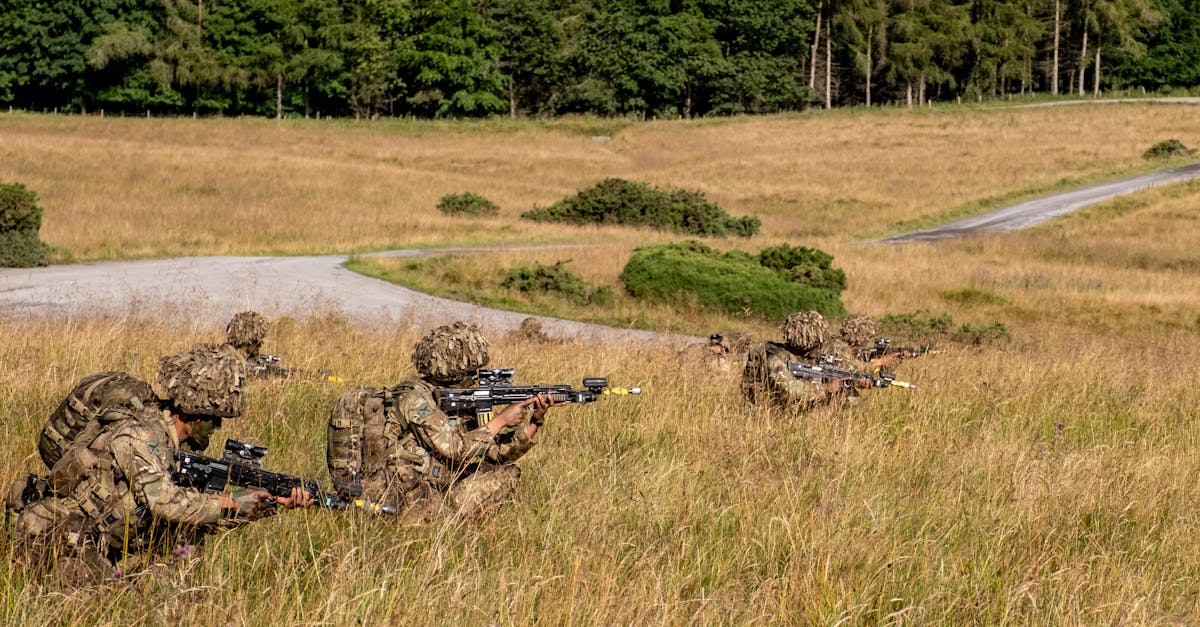 罗密欧2号（50支）：直播平台代理什么意思